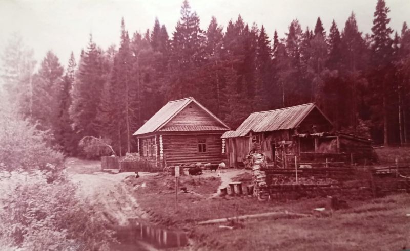 Дом лесника на речке Полуденка по Висимо-Уткинскому тракту. 1963 г. Архив "Нижнетагильский музей-заповедник "Горнозаводской Урал"